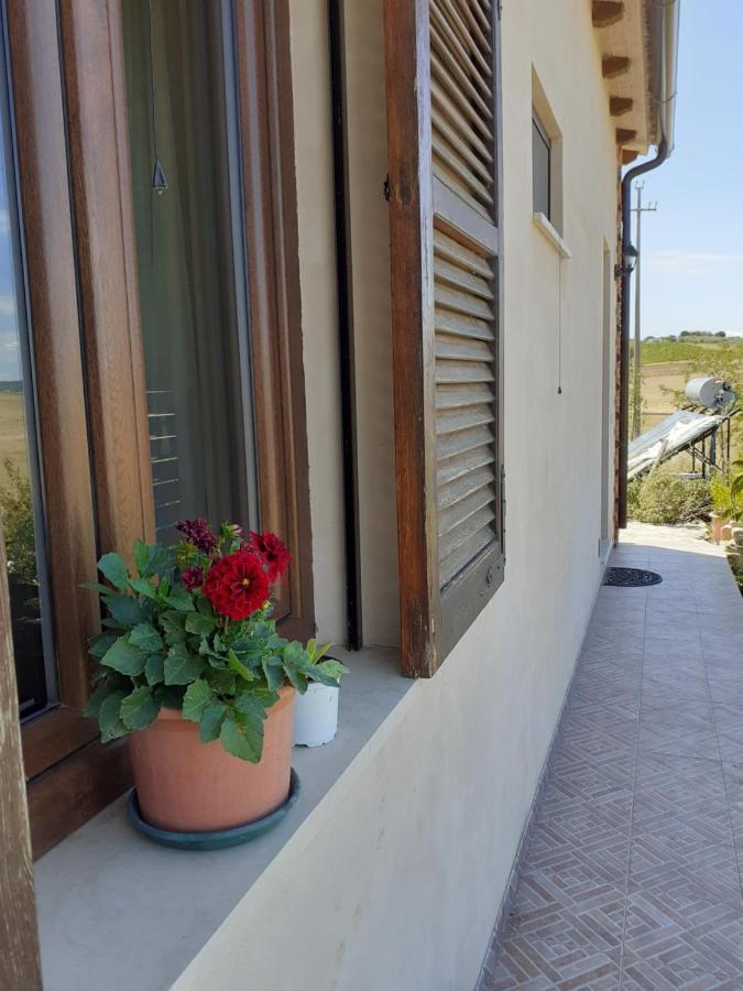 Agriturismo Enjoy Sunset Cinigiano Exterior photo